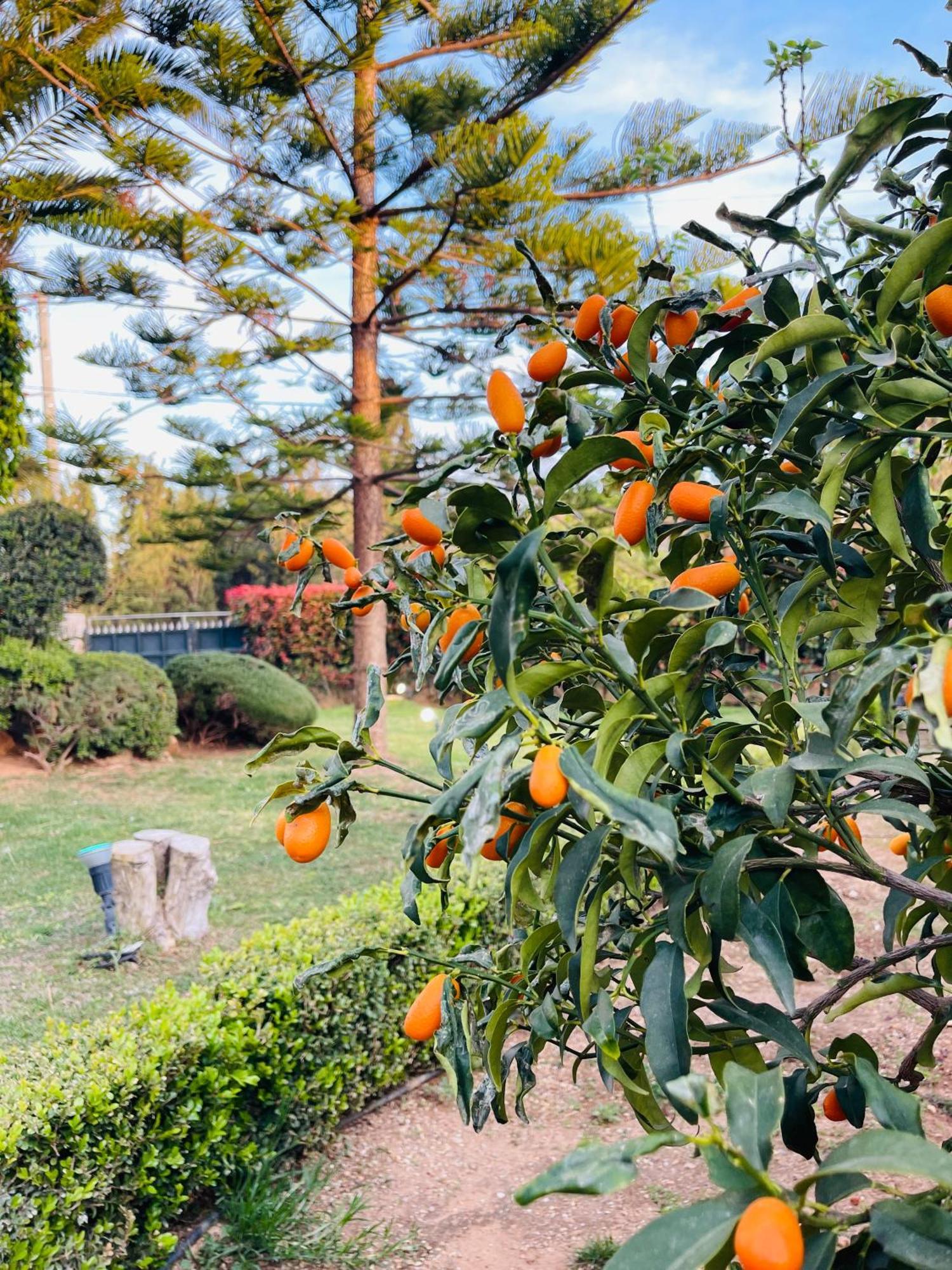 Erotospilia Porto Rafti Near The Athens Airport公寓 外观 照片